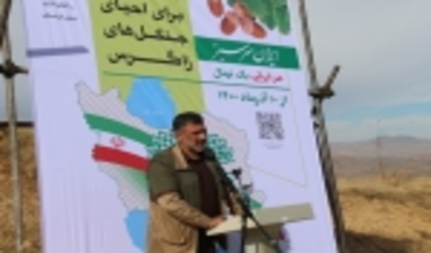 امسال ۶ هزار و ۷۰۰ هکتار از جنگل‌های کشور طعمه حریق شد
