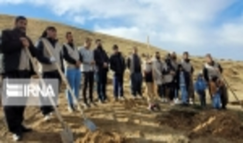 بذرکاری و نهال کاری در سقز