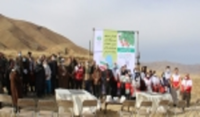 پویش مردمی بذرکاری در دامنه کوه آبیدر سنندج