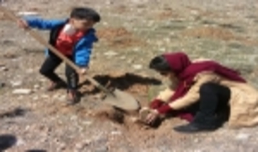 غرس بیش از ۱۰ هزار اصله نهال در قروه