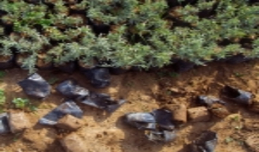 ۱۸۳ اثر به دبیرخانه نخستین جشنواره منابع طبیعی و رسانه کردستان ارسال شد