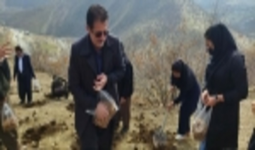 رییس اداره منابع طبیعی و آبخیزداری سروآباد از اجرای طرح پویش همگانی احیای جنگل های آسیب دیده زاگرس در این شهرستان خبر داد.