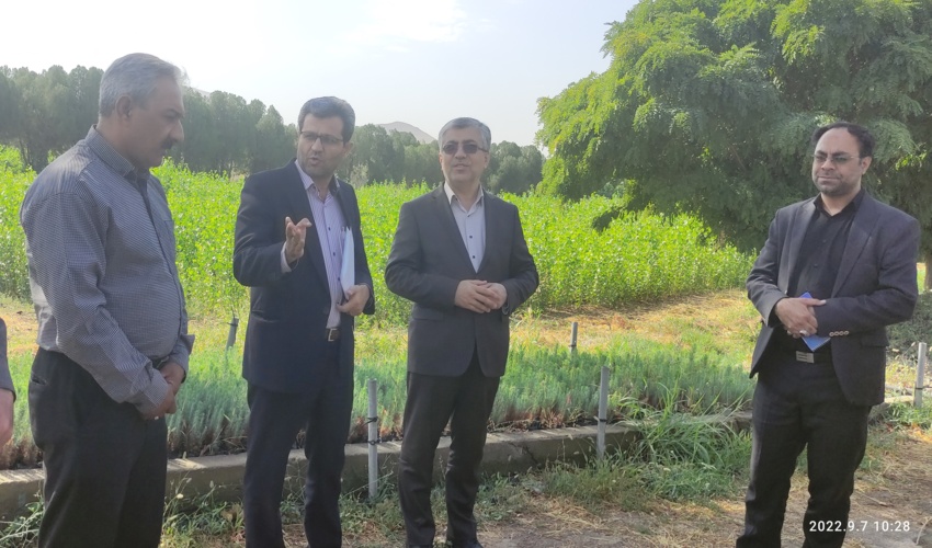 حفاظت از منابع طبیعی نقش موثری در امنیت غذایی دارد 