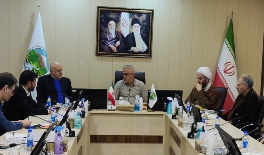 گام اساسی منابع طبیعی با مشارکت مردم بسوی تولید و کاشت یک میلیارد نهال 