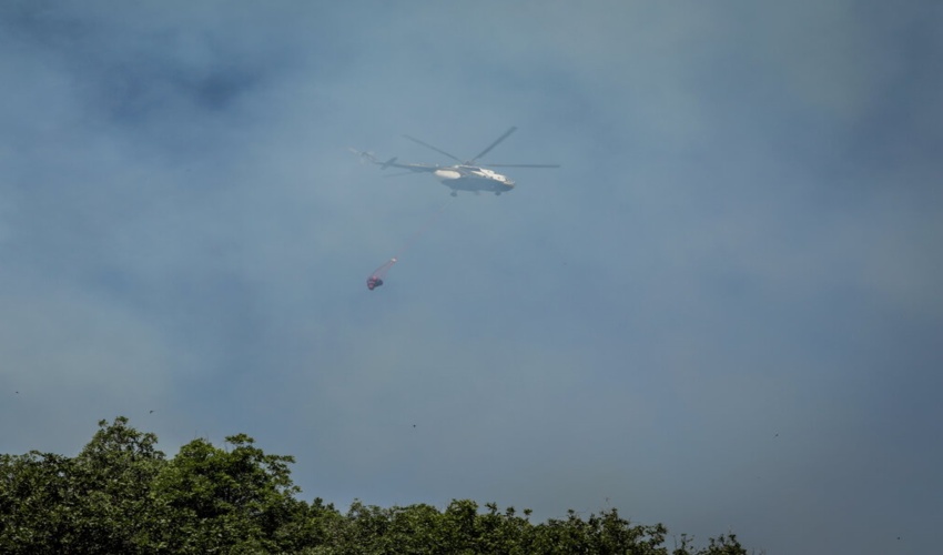 آتش در جنگلهای مریوان اطفا شد / برآورد اولیه آتش سوزی ۴۵۰ هکتار