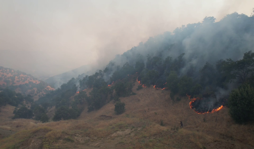 رئیس سازمان منابع طبیعی  و آبخیزداری کشور: آتش سوزی در عرصه‌های طبیعی کشور ۱۳۵ درصد افزایش یافت