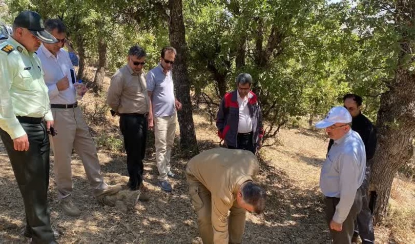 بازدید دکتر مسجدی نماینده ویژه ریس سازمان برنامه و بودجه کشور از جنگلهای زاگرس کردستان (شهرستان مریوان)