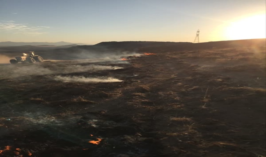  کردستان_دیواندره   مورخ (۱۴۰۳/۰۷/۱۷)  ❇️کنترل و اطفاء حریق در مراتع روستای ظفرآباد با حضور به‌موقع  همکاران در محل