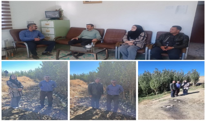 بازدید کارشناسان اداره کل از طرح زراعت چوب  دیواندره 