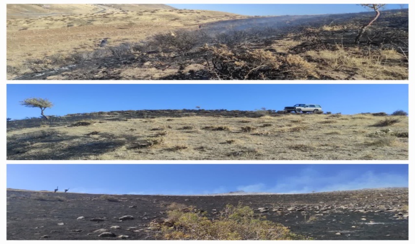 کردستان_ سقز     مورخ  ۱۴۰۳/۰۸/۰۵