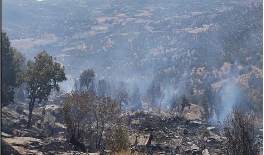 اطفاء حریق حادث‌شده در بخشی از جنگل‌های روستای «بوئین‌علیا» بانه 