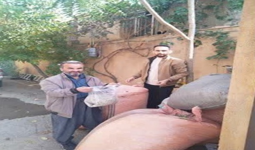  تحویل بذور مرتعی، بذرکاری مشارکتی