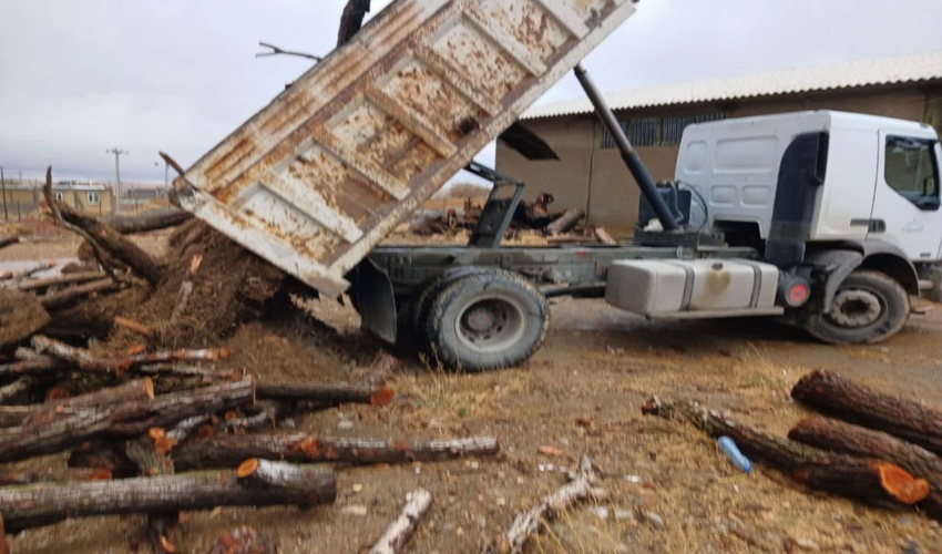 شناسایی محل دپوی مقطوعات چوبی غیر مجاز در دیواندره 