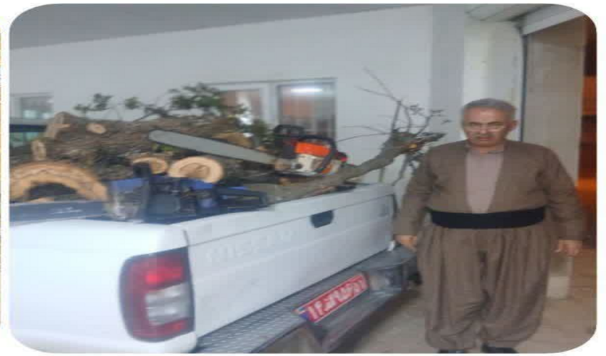 بانه/ تداوم برخورد با قاچاقچیان و متخلفین قطع درختان جنگلی 