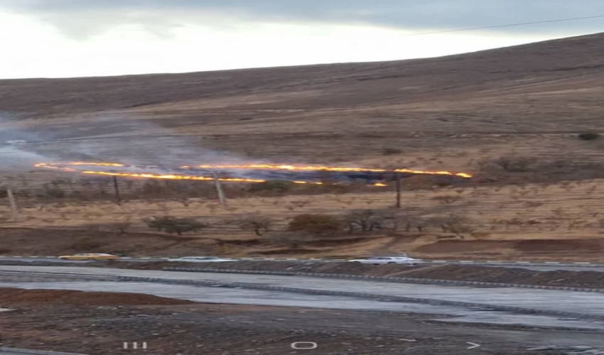 سنندج/آتش‌سوزی دور از انتظار، بعد از چند روز بارندگی در پارک جنگلی آبیدر