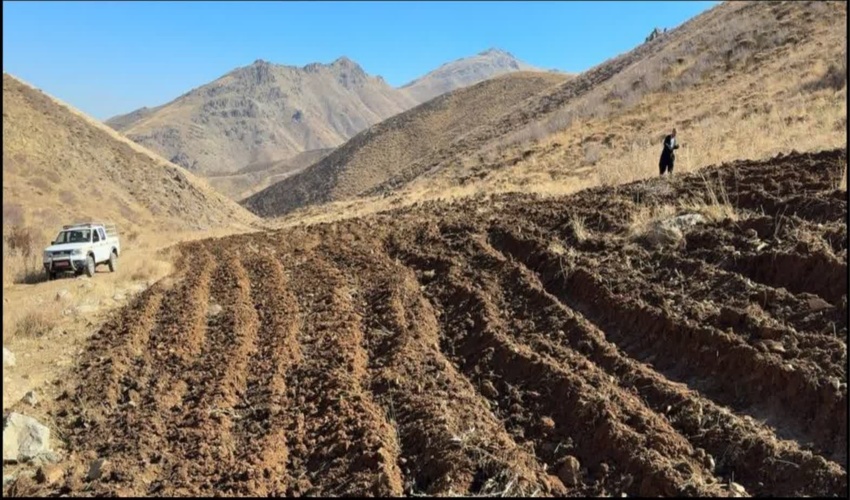 بانه / بررسی گزارش تخریب و تصرف اراضی ملی و قطع درختان بید