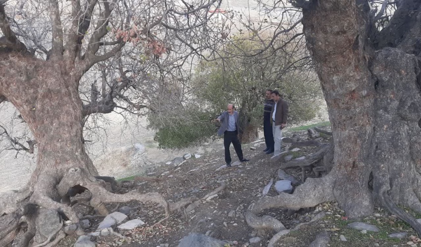 کامیاران/  یازدید از دره حسن علی روستای پالنگان و جانمایی محل احداث پروژه سازه های رسوبگیر 