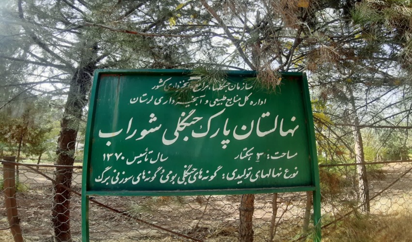 بازدید از دو نهالستان اداره کل منابع طبیعی و آبخیزداری استان لرستان