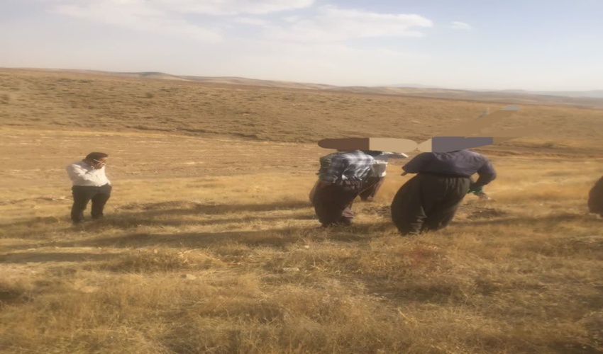   دیواندره/  چاله‌کنی متخلفین و محکومین در محدوده پارک جنگلی جنگلبان 