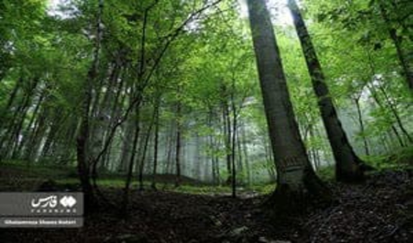 سنندج/ برگزاری میز خدمت در نماز جمعە مسجد روستای قلیان