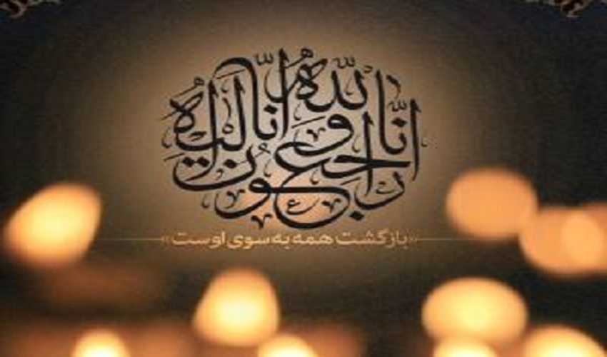 سروآباد / اتمام حجت با چوب‌فروشان شهرستان 