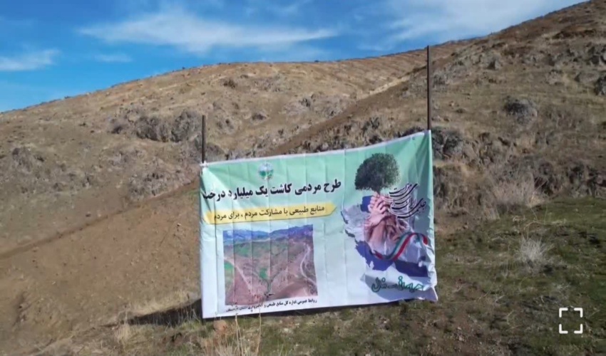 پویش نهال‌کاری به‌مناسبت هفته بسیج