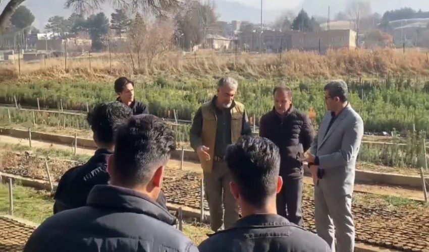  بازدید شعبانیان، معاون جنگل سازمان منابع طبیعی و آبخیزداری کشور به همراه دانشجویان دانشگاه کردستان از نهالستان‌ گریزه 