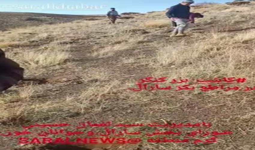 سرجنگلبانی_سارال/ پروژه_بیولوژیک بذرکاری روستای کول