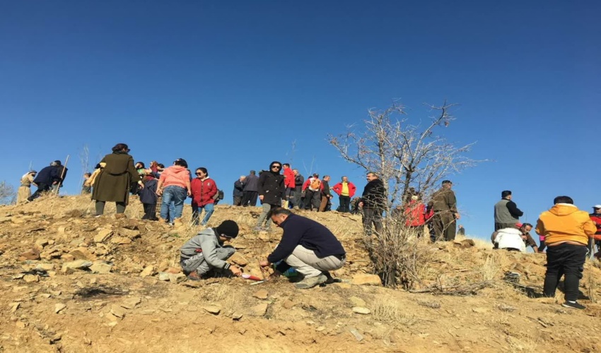 سنندج / زاگروسانه پویش نهالکاری