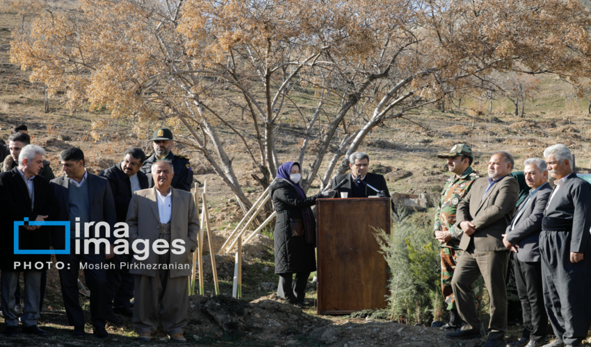 خبرگزاری ایرنا: پویش درختکاری « در سایه مادر» در سنندج