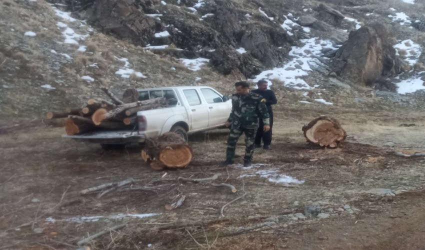  دیواندره/  رصد، پایش و کنترل کارگاه‌های چوب بری، خودروهای حامل چوب‌ و محل دپوی مقطوعات چوبی 