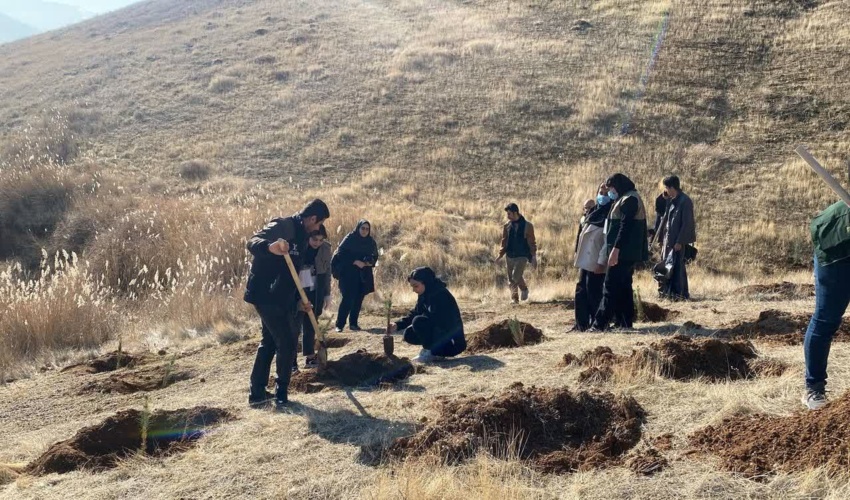 سنندج/  نهال‌کاری در دانشگاه علوم پزشکی با مشارکت اساتید و دانشجویان