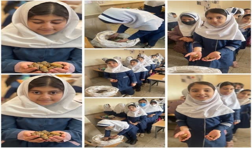 توزیع بذر بلوط در بین دانش‌آموزان مدرسه شاه حسینی شهرستان بانه