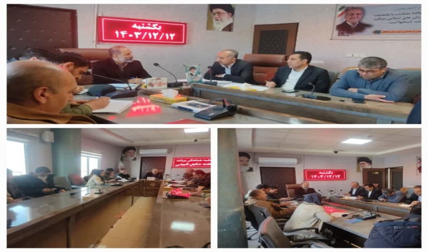 برگزاری جلسه هماهنگی برنامه‌های هفته منابع طبیعی در محل سالن جلسات فرمانداری دهگلان