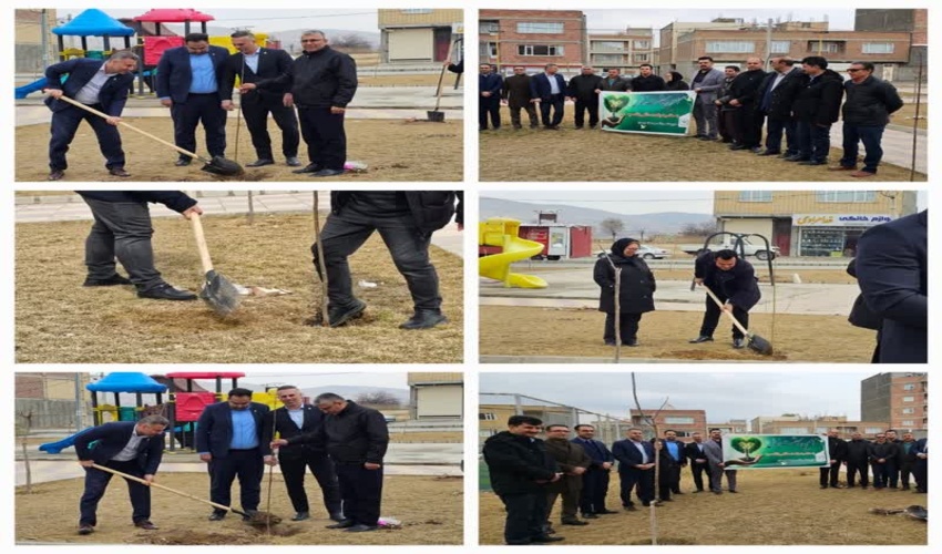  اجرای نهالکاری توسط کارمندان شعب بانک سپه