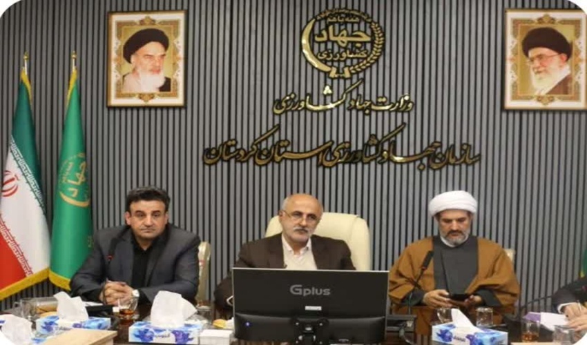 رئیس جهاد کشاورزی کردستان: زراعت چوب عامل اشتغال پایدار در مناطق روستایی است