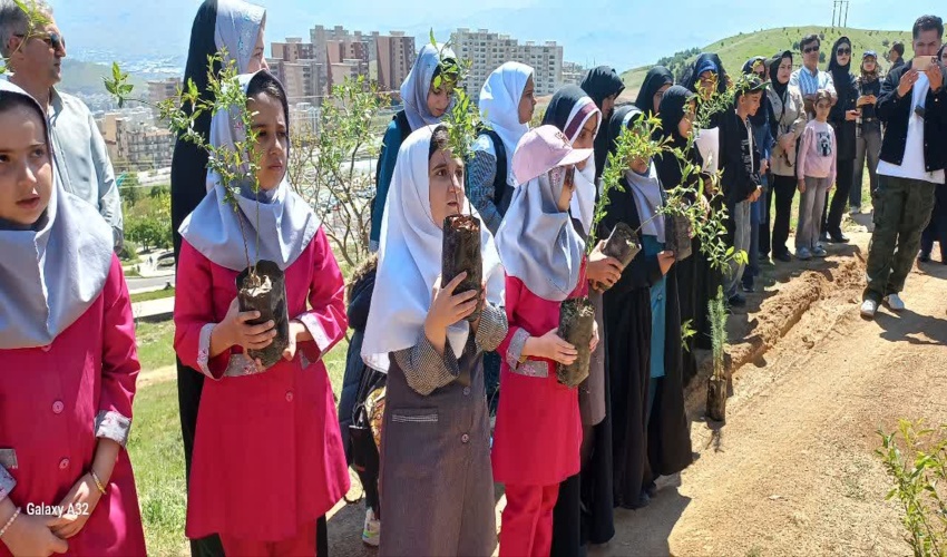 برگزاری پویش نهال‌کاری در کوه آبیدر سنندج؛ به یاد شهدای جنگ رمضان